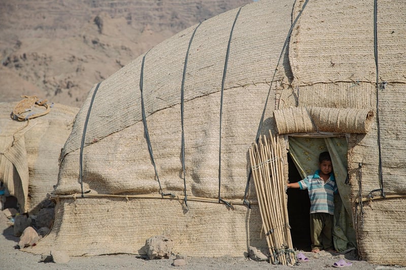 Build Shelter