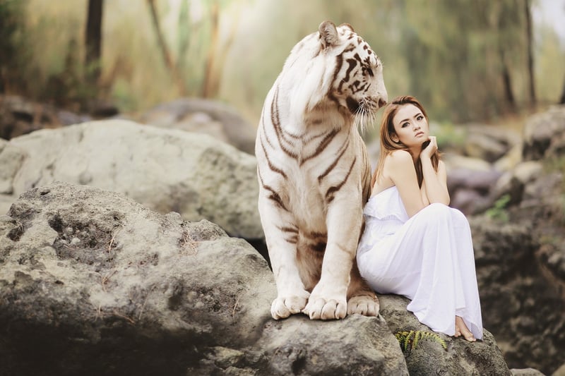 Hidden Tiger